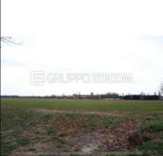 Foto Terreno di 570 mq  in vendita a Ravenna - Rif. 4524164