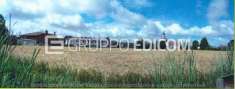 Foto Terreno di 5951 mq  in vendita a Giavera del Montello - Rif. 4521246