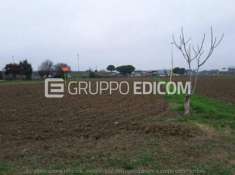 Foto Terreno di 6382 mq  in vendita a Cesena - Rif. 4504919