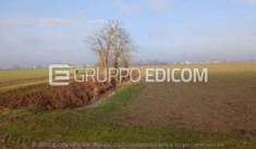 Foto Terreno di 70.33 mq  in vendita a Povegliano Veronese - Rif. 4528351