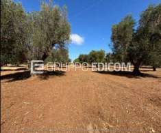 Foto Terreno di 70 mq  in vendita a Grottaglie - Rif. 3543510