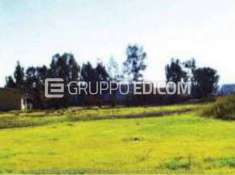 Foto Terreno di 7250 mq  in vendita a Rende - Rif. 4502134