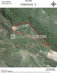 Foto Terreno di 8570 mq  in vendita a Borgia - Rif. 4500114