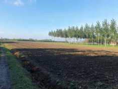 Foto Terreno di 9000 m in vendita a Bomporto