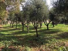 Foto Terreno edif. residenziale in vendita a La Borra - Pontedera 944 mq  Rif: 600802
