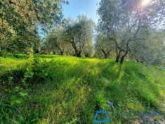 Foto Terreno edif. residenziale in vendita a Lamporecchio 2500 mq  Rif: 1361035