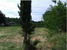 Foto Terreno Edificabile - Rif. 1995