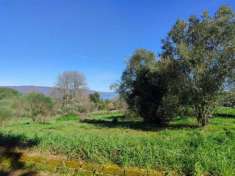 Foto Terreno Edificabile - Rif. 2365