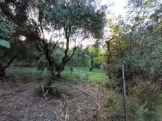 Foto Terreno edificabile a Terni, in prima periferia