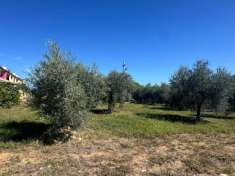 Foto Terreno edificabile commerciale in vendita a Pianella