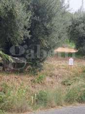 Foto Terreno edificabile in vendita a Amantea