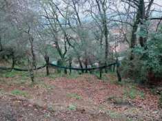 Foto Terreno edificabile in vendita a Ameglia