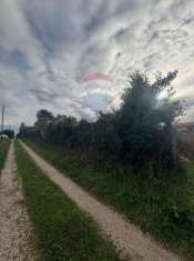 Foto Terreno edificabile in vendita a Anzio