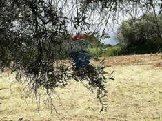 Foto Terreno edificabile in vendita a Aprilia