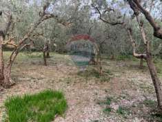 Foto Terreno edificabile in vendita a Assisi