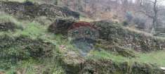 Foto Terreno edificabile in vendita a Avegno