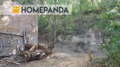 Foto Terreno edificabile in vendita a Banchette