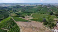 Foto Terreno edificabile in vendita a Barbaresco