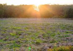 Foto Terreno edificabile in vendita a Bolzano