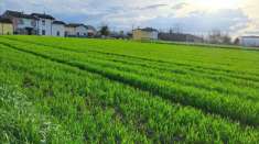 Foto Terreno edificabile in vendita a Borgonovo Val Tidone