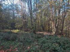 Foto Terreno edificabile in Vendita a Bosco Chiesanuova Bosco Chiesanuova - Centro