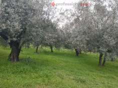 Foto Terreno edificabile in vendita a Boville Ernica