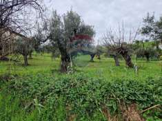 Foto Terreno edificabile in vendita a Bucchianico