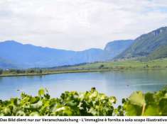 Foto Terreno edificabile in vendita a Caldaro Strada Del Vino