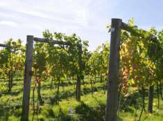 Foto Terreno edificabile in vendita a Caldaro Strada Del Vino