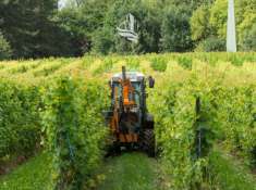 Foto Terreno edificabile in vendita a Caldaro Strada Del Vino