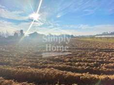 Foto Terreno edificabile in vendita a Cambiano