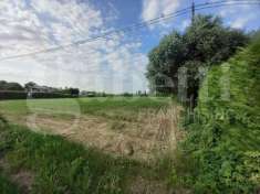 Foto Terreno edificabile in vendita a Campodarsego