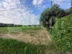 Foto Terreno edificabile in vendita a Campodarsego
