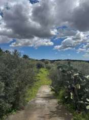 Foto Terreno edificabile in vendita a Camporotondo Etneo