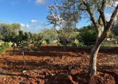 Foto Terreno edificabile in vendita a Carovigno