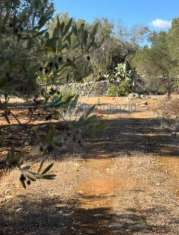 Foto Terreno edificabile in vendita a Carovigno