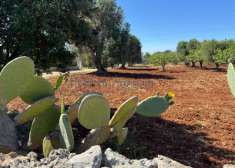 Foto Terreno edificabile in vendita a Carovigno