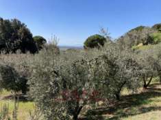 Foto Terreno edificabile in vendita a Casale Marittimo
