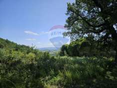 Foto Terreno edificabile in vendita a Castelnuovo Val Di Cecina