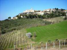 Foto Terreno edificabile in vendita a Castorano
