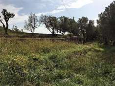 Foto Terreno edificabile in vendita a Catanzaro