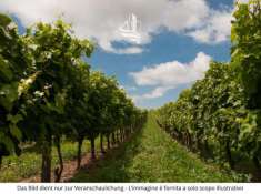 Foto Terreno edificabile in vendita a Cermes