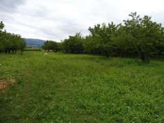 Foto Terreno edificabile in vendita a Colceresa
