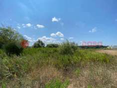 Foto Terreno edificabile in vendita a Collesalvetti