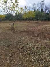 Foto Terreno edificabile in vendita a Filetto