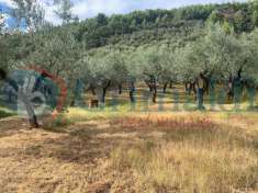 Foto Terreno edificabile in vendita a Foligno
