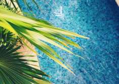 Foto Terreno edificabile in vendita a Gizzeria