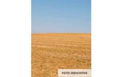 Foto Terreno edificabile in Vendita a Grezzana