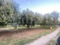 Foto Terreno edificabile in vendita a Lamezia Terme