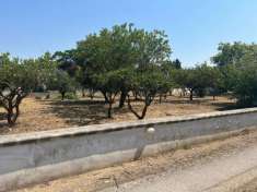 Foto Terreno edificabile in vendita a Leporano